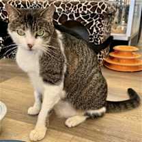 Thumbnail photo of Ariel #1