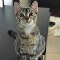 Thumbnail photo of Helen #1