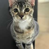 Thumbnail photo of Helen #2