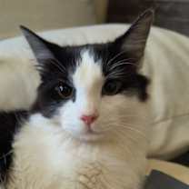 Thumbnail photo of Depop #1