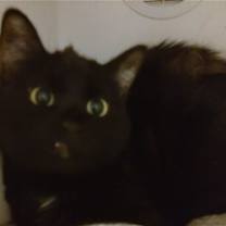 Thumbnail photo of Destiny #2