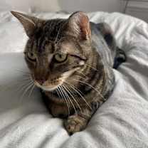 Thumbnail photo of Destiny #2