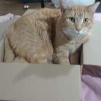 Thumbnail photo of Calor #1