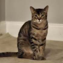 Thumbnail photo of Musa #2