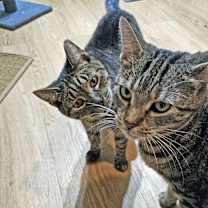 Thumbnail photo of Cindy & Loretta #4