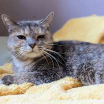 Thumbnail photo of Tinkerbell #3