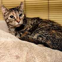 Thumbnail photo of Gwen #2