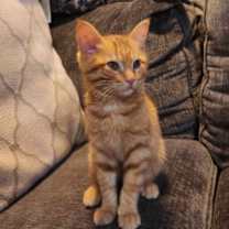 Thumbnail photo of Daniel *Luca' #2