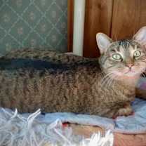 Thumbnail photo of Zera #1