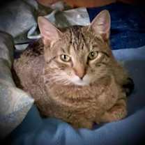 Thumbnail photo of Zera #2