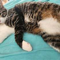 Thumbnail photo of Kaedon #1