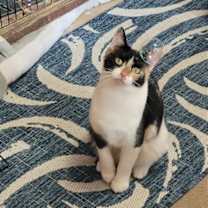 Thumbnail photo of Honey #1