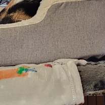 Thumbnail photo of Honey #2