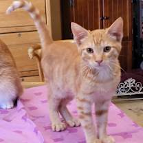 Thumbnail photo of Tony #1