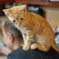 Thumbnail photo of Tony #3