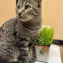 Thumbnail photo of Dory #1