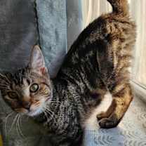 Thumbnail photo of Simon #1