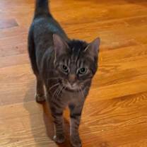 Thumbnail photo of Mary/Eevee 0124 #1