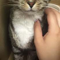 Thumbnail photo of Duchess #4