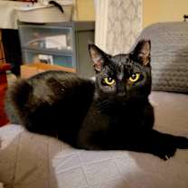 Thumbnail photo of Roo #1