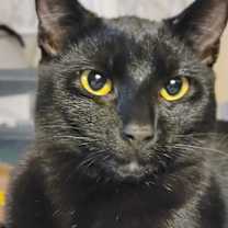 Thumbnail photo of Roo #2