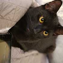 Thumbnail photo of Roo #3