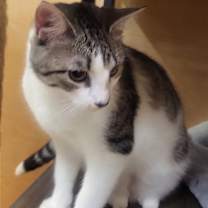 Thumbnail photo of Charo #1