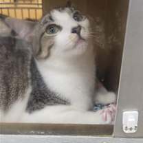 Thumbnail photo of Charo #2