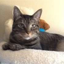 Thumbnail photo of Spunky #1