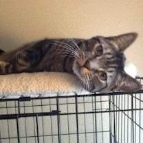 Thumbnail photo of Spunky #2