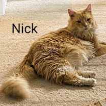 Thumbnail photo of Nick #1