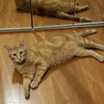 Thumbnail photo of Oscar #2