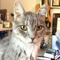 Thumbnail photo of KITTY BIGSBY #1