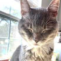 Thumbnail photo of KITTY BIGSBY #2