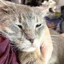 Thumbnail photo of KITTY BIGSBY #3