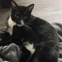 Thumbnail photo of Zipper #1