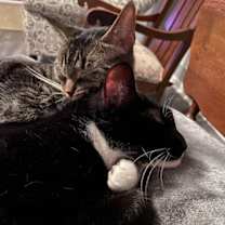 Thumbnail photo of Zipper #2