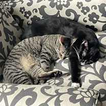 Thumbnail photo of Zipper #3