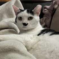 Thumbnail photo of NAMI #4