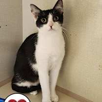 Thumbnail photo of Baby Gigi #1