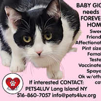 Thumbnail photo of Baby Gigi #2