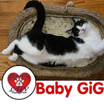 Thumbnail photo of Baby Gigi #3