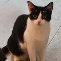 Thumbnail photo of Baby Gigi #4