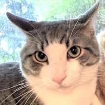 Thumbnail photo of George #2