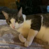 Thumbnail photo of George #3