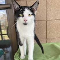 Thumbnail photo of Tink #1
