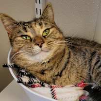 Thumbnail photo of Jennie Lee #3