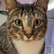 Thumbnail photo of Arthur Read #1
