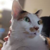 Thumbnail photo of Chloe #1