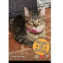 Thumbnail photo of Mia #1